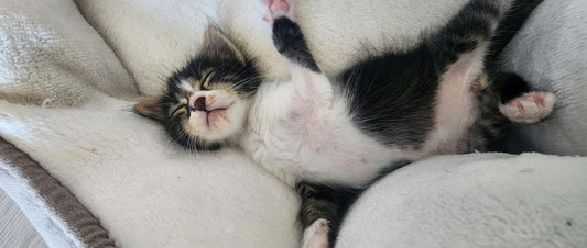 Mieux dormir : astuces efficaces pour s’endormir malgré le stress et l'anxiété